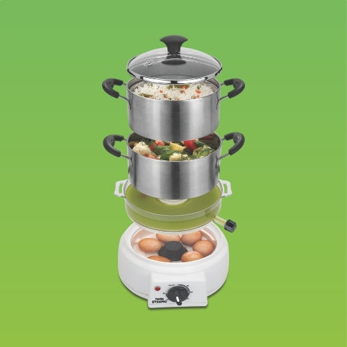 Stainless Steel Model