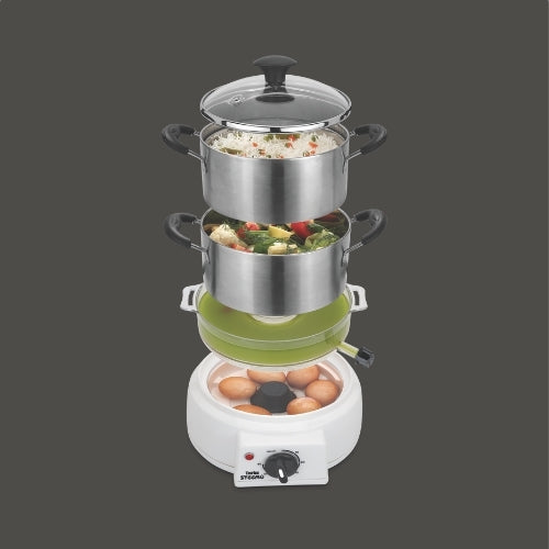 Stainless Steel Model