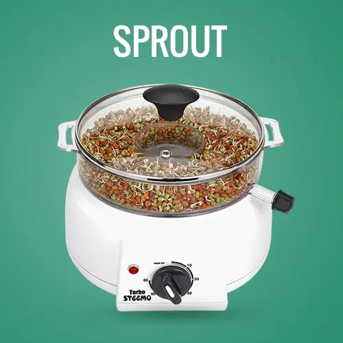 Polycarbonate Transparent Model